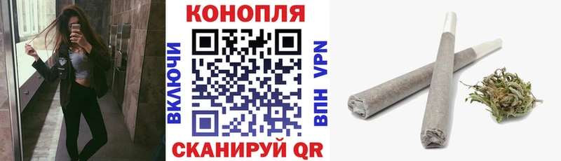 Шишки марихуана планчик  Камешково 